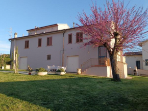 Il Colle
